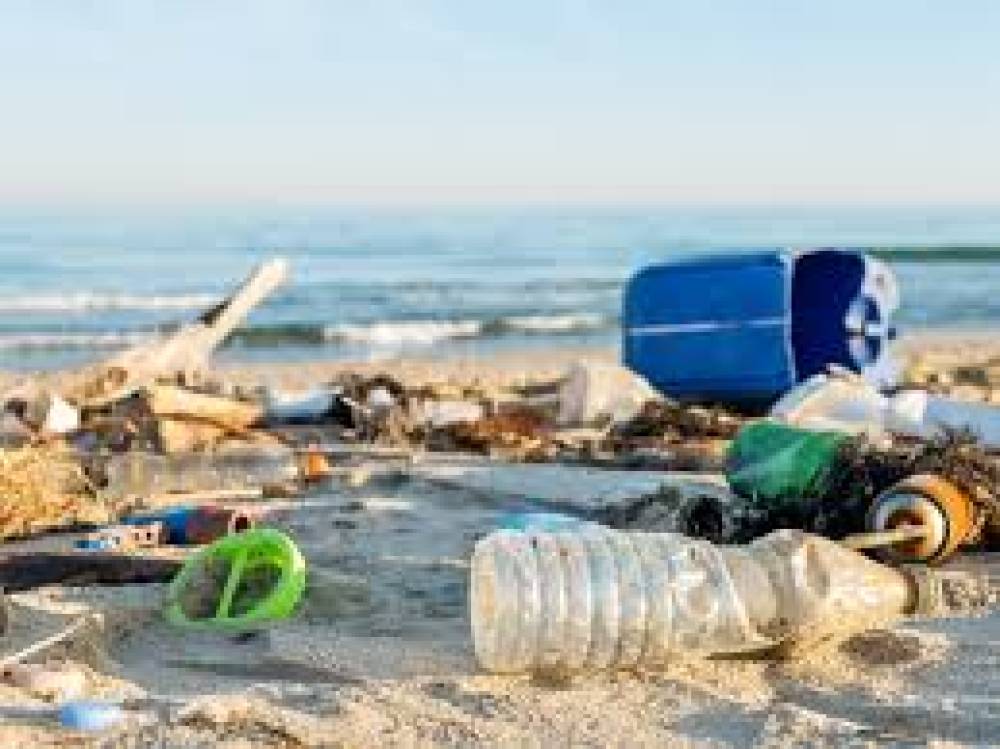 O Impacto Devastador do Lixo nas Praias: Desafios e Soluções para um Oceano Sustentável