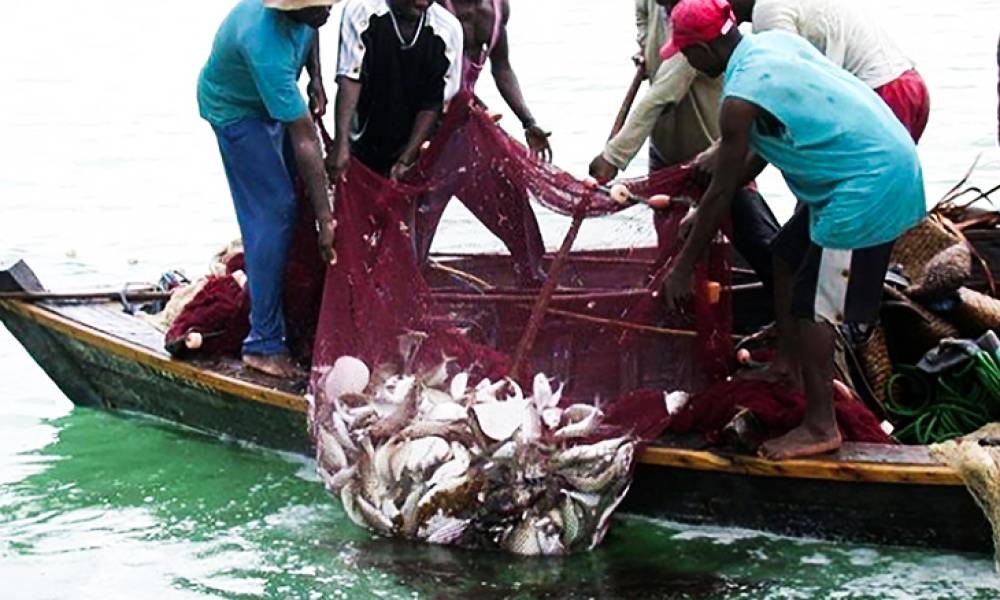 Importância da Pesca de Subsistência