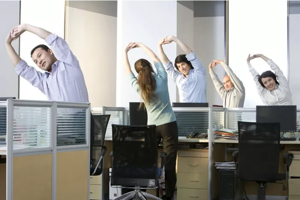 Os Impactos da Atividade Física na Vida Profissional