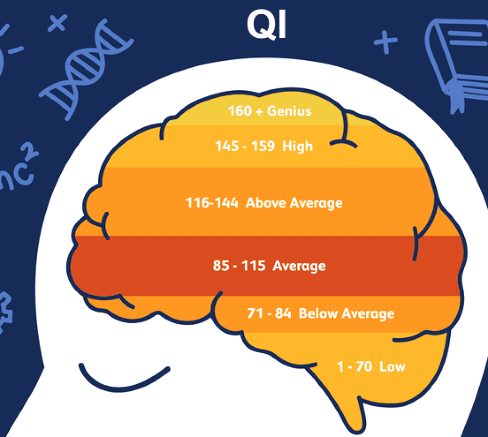 Explorando o Quociente de Inteligência (QI) e sua Relevância