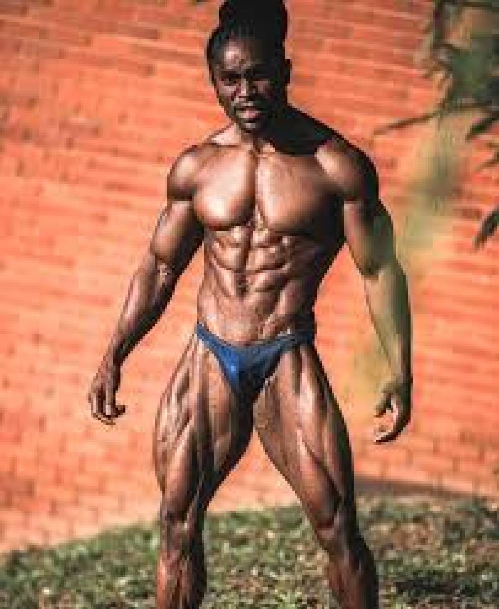 Fisiculturismo: A Arte de Esculpir o Corpo e a Mente