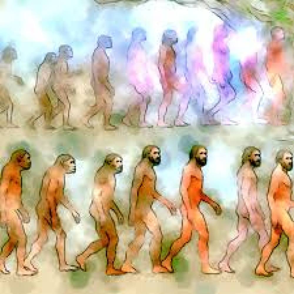 O Impacto das Ciências na Evolução Humana: Uma Jornada de Descobertas e Transformações