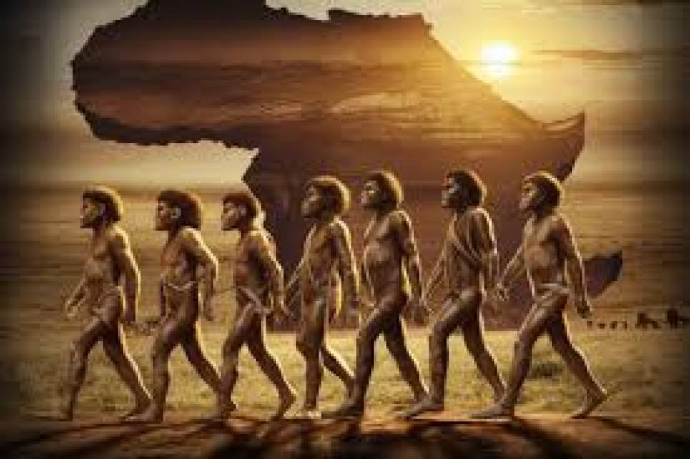 África: O Berço da Humanidade e Sua Riqueza Histórica