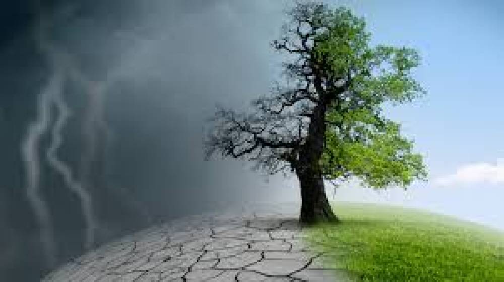 Desafios e Oportunidades na Era da Sustentabilidade: Combatendo as Mudanças Climáticas para um Futuro Sustentável