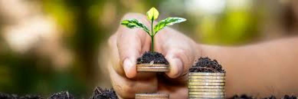 Educação Financeira: O Caminho para o Sucesso Financeiro