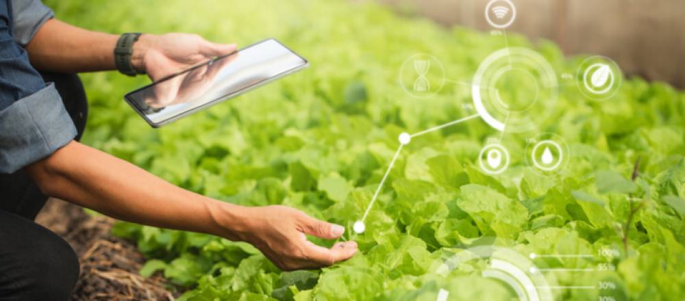 A Integração da Tecnologia na Agricultura: Impulsionando a Produtividade e a Sustentabilidade