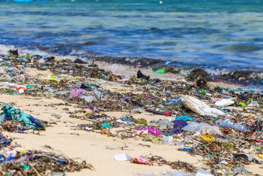 O Impacto Devastador do Lixo nas Praias: Desafios e Soluções para um Oceano Sustentável