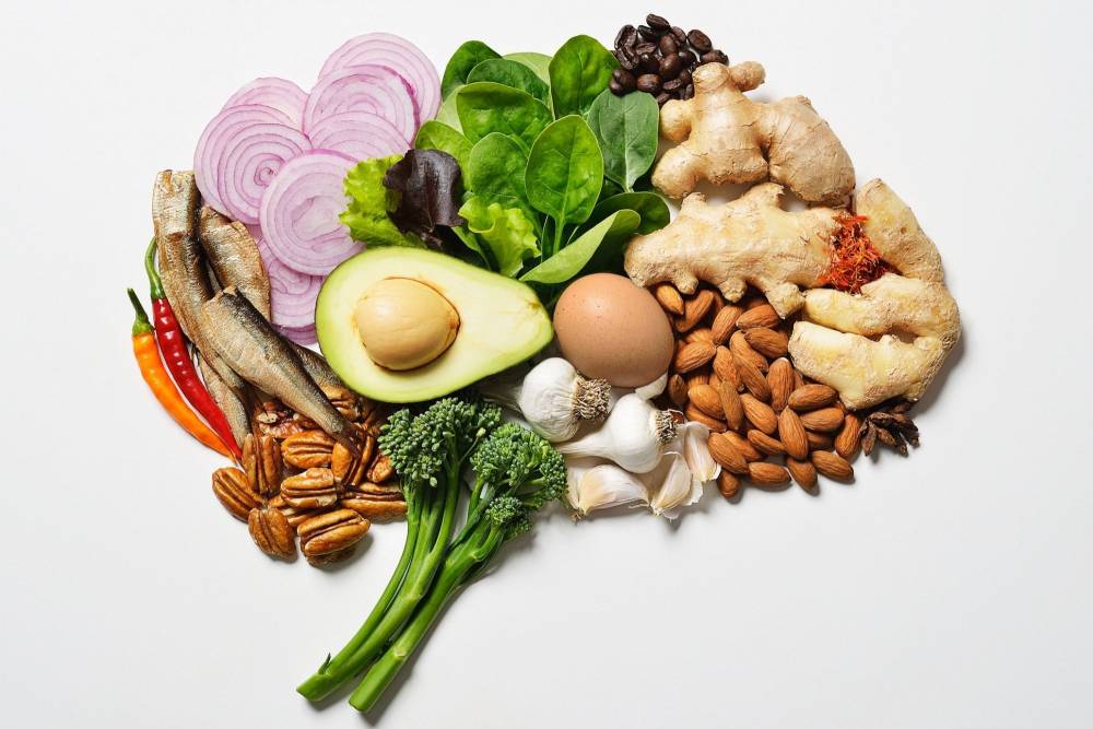 Alimentos que Ajudam nos Estudos