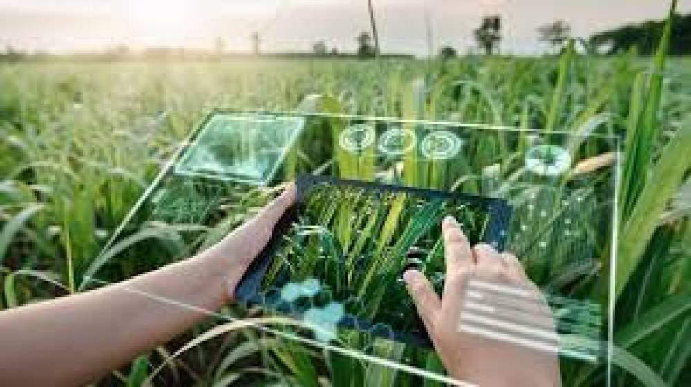 A Integração da Tecnologia na Agricultura: Impulsionando a Produtividade e a Sustentabilidade