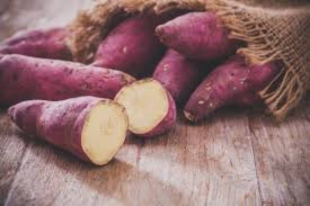 Benefícios do Consumo da Batata Doce para a Saúde
