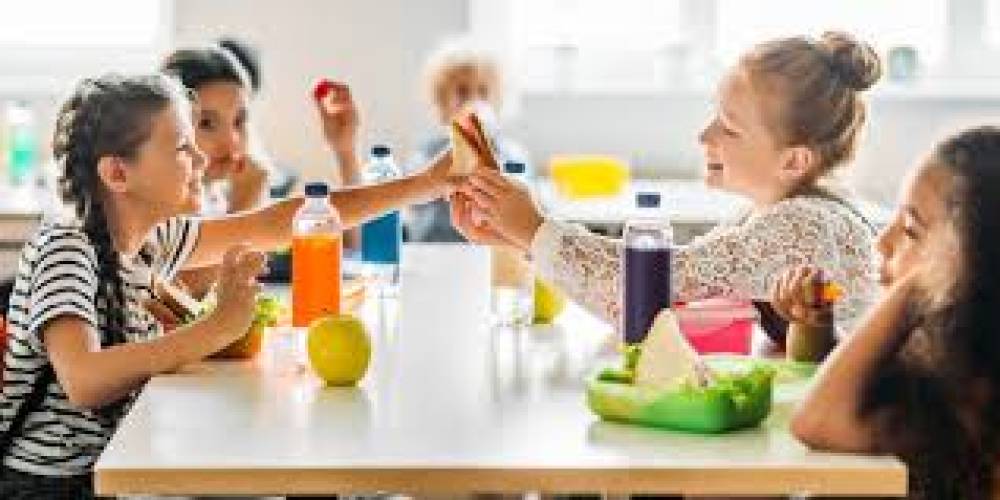 O Perigo do Lanche Escolar nas Crianças: Uma Análise Crítica