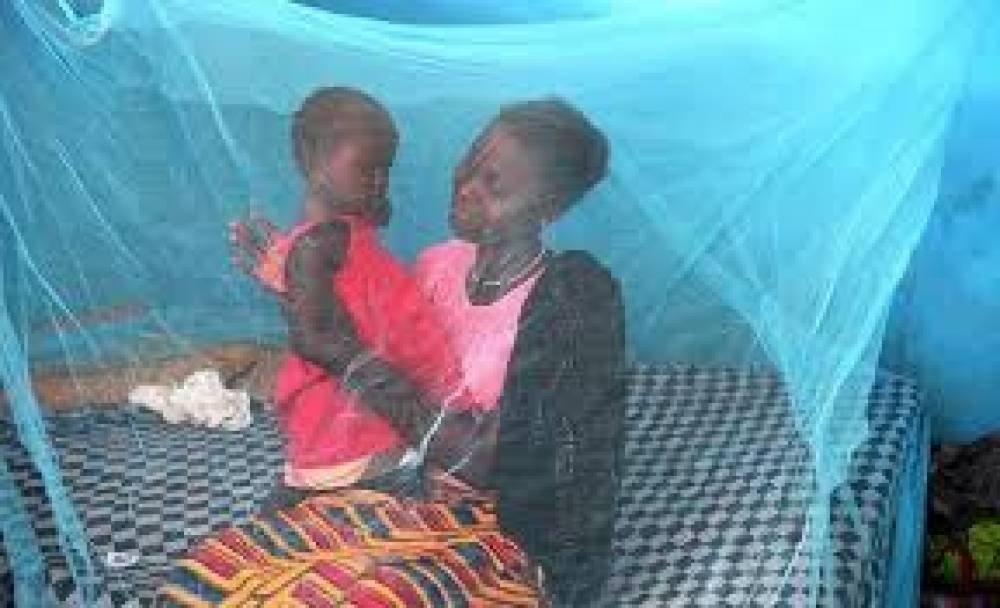 Os perigos da malaria