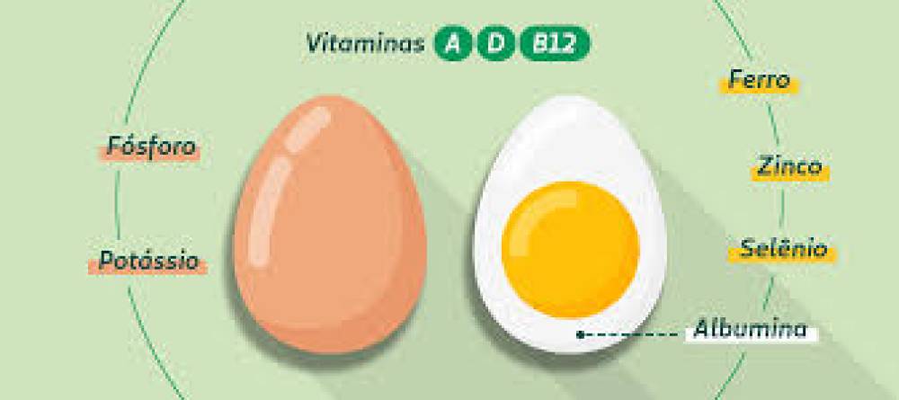 Benefícios do Consumo de Ovos na Saúde Humana