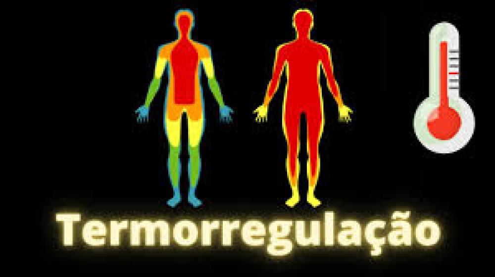 Influência da Mudança de Temperatura no Corpo Humano: Uma Abordagem Multifacetada