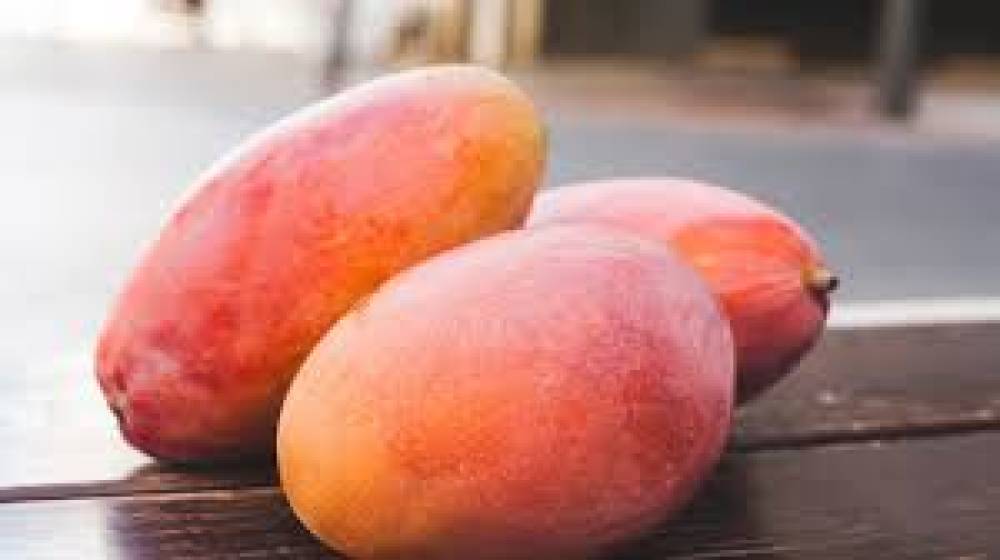 Os Inúmeros Benefícios da Manga para a Saúde