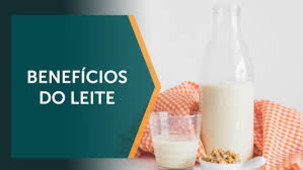 Os Inúmeros Benefícios do Leite na Saúde Humana