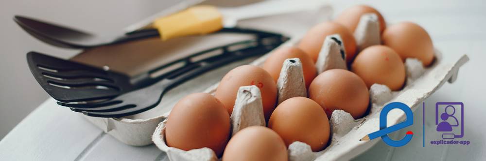 Benefícios do Consumo de Ovos na Saúde Humana