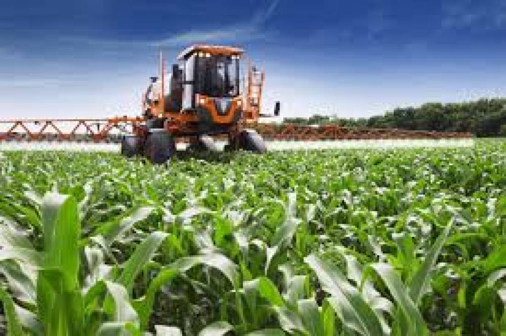 A produção agropecuária em Moçambique