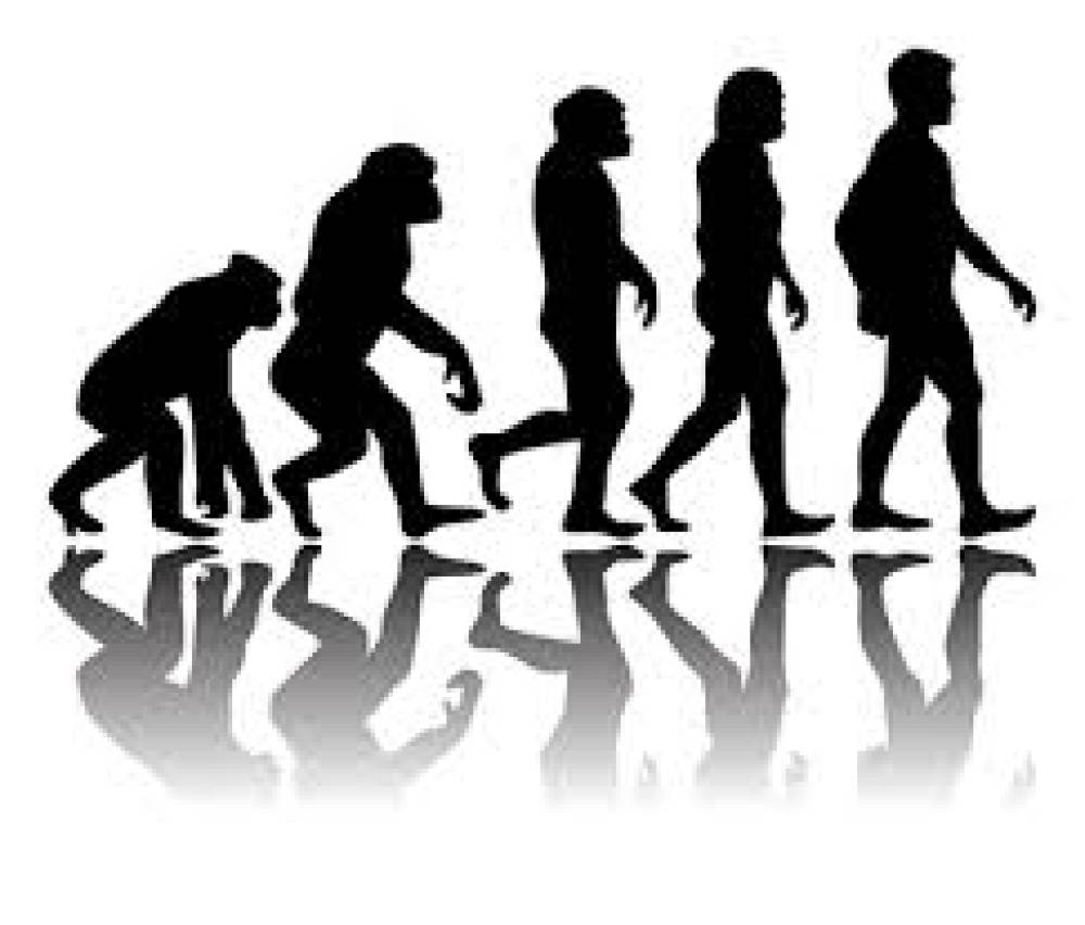 A evolução contínua da Sociedade