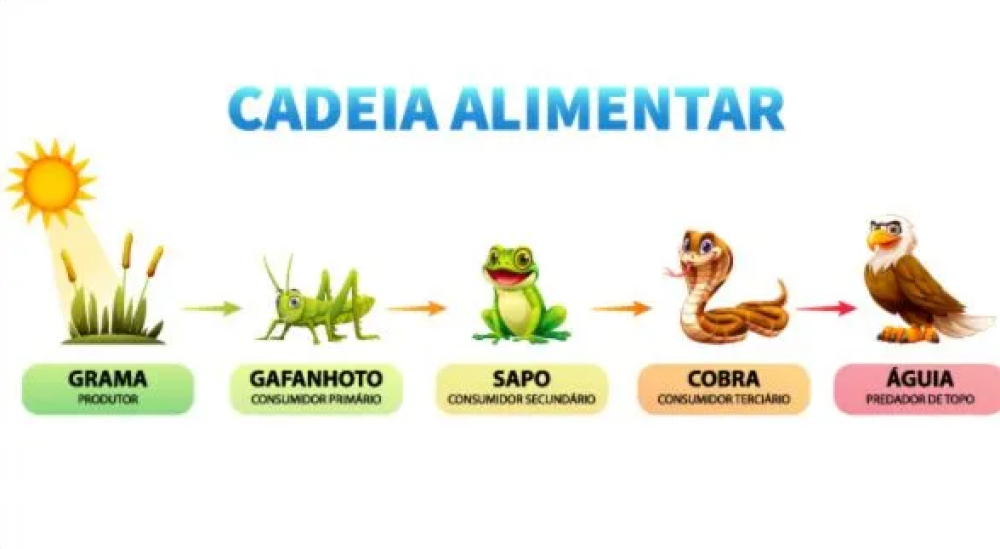 Cadeia alimentar