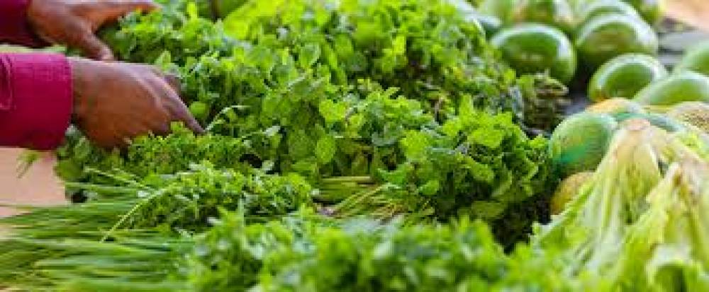 Importância dos legumes na saúde do homem