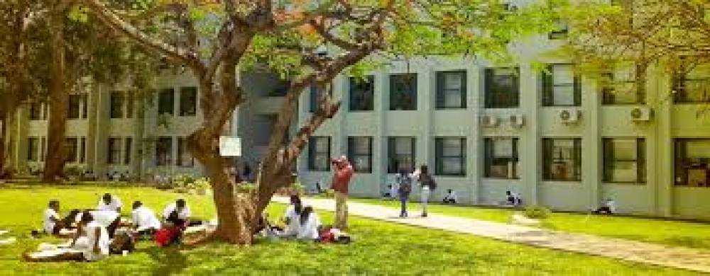 A Importância do Ensino Superior em Moçambique nos Dias Actuais