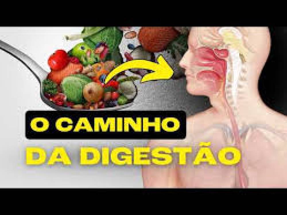 Como melhorar a digestão dos alimentos