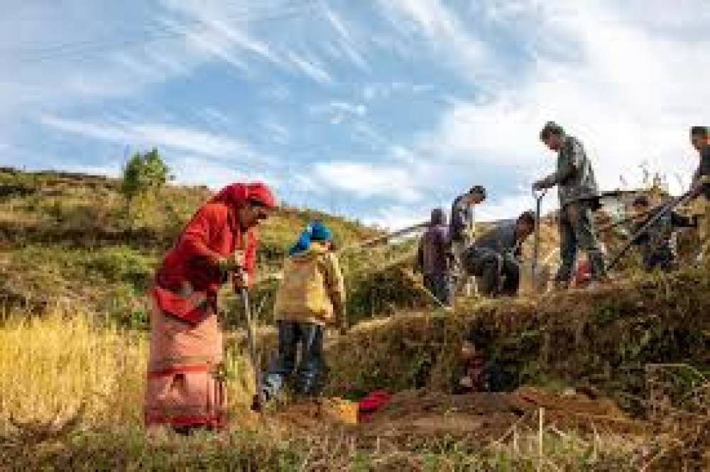 Como Ser Resiliente às Mudanças Climáticas: Estratégias e Ações